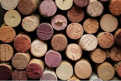 Choosing lipsticks for Your Skin Tone. Let's have some fun!